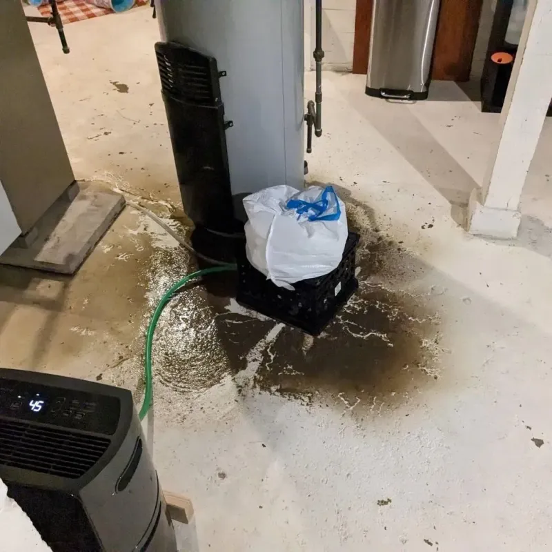 Sewage Backup Cleanup Service in Passaic County, NJ